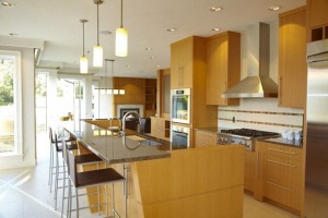 ZEBRA INTERIORS-Brar Residence-Kitchen