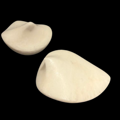 Pair of Doves by Michael Binkley